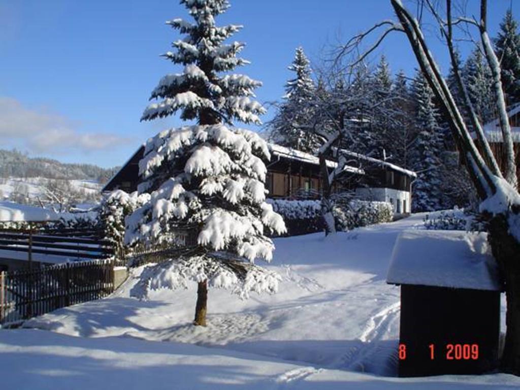 Relax pension u Nosků Smržovka Pokoj fotografie